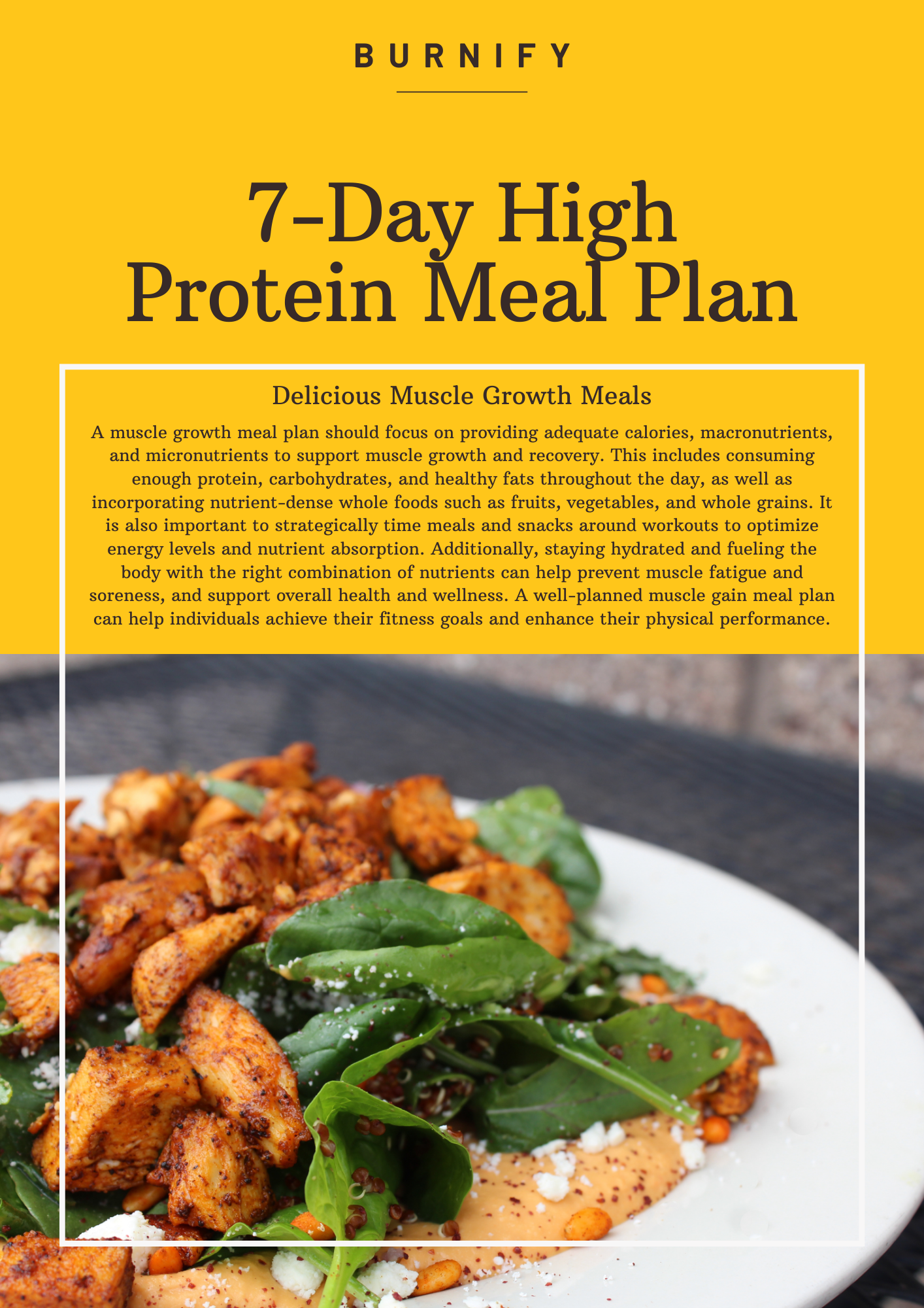 7-Day High Protein Meal Plan
